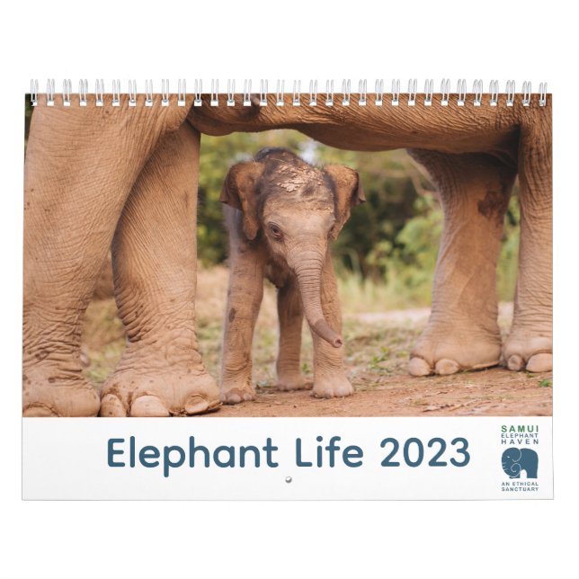 Samui Elephant Haven 2023 Calendar Kalender (Omslag)