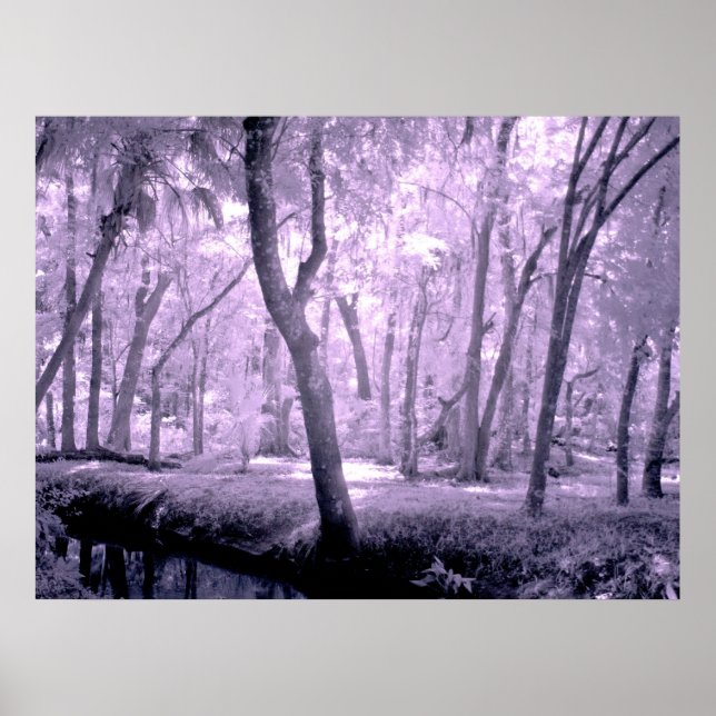 Samurai Forest Poster (Framsidan)