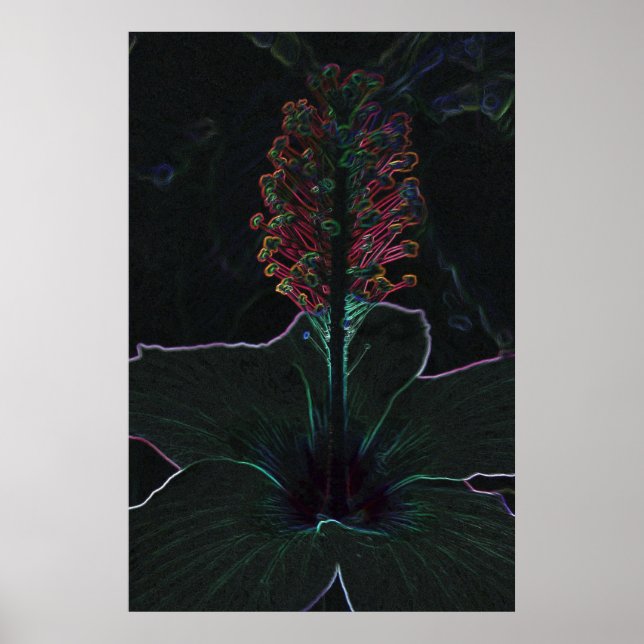 samvet färgad Blommor Poster (Framsidan)