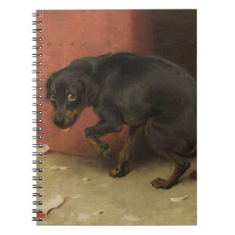 Samvetet gör oss alla till åtlöje anteckningsbok