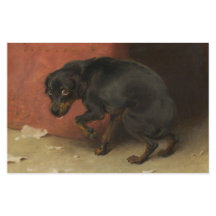 Samvetet gör oss alla till åtlöje