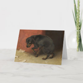 Samvetet gör oss alla till åtlöje kort