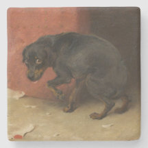 Samvetet gör oss alla till åtlöje