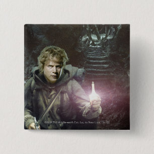 Samvis och SHELOB™ Knapp