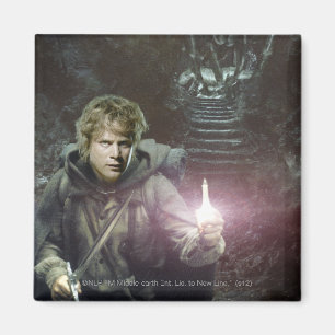 Samvis och SHELOB™ Magnet