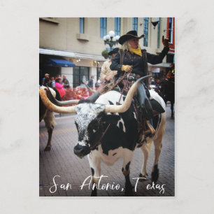 San Antonio Longhorn Vykort