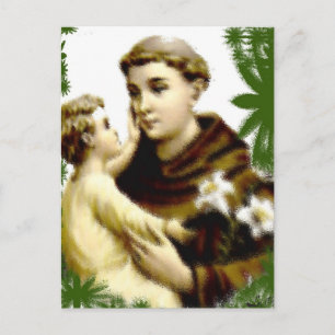 SAN ANTONIO/ ST ANTHONY VYKORT