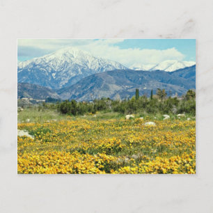 San Bernardino-bergen, snö, blommor blommor Vykort