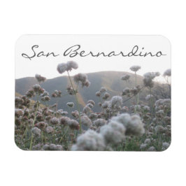 San Bernardino Magnet