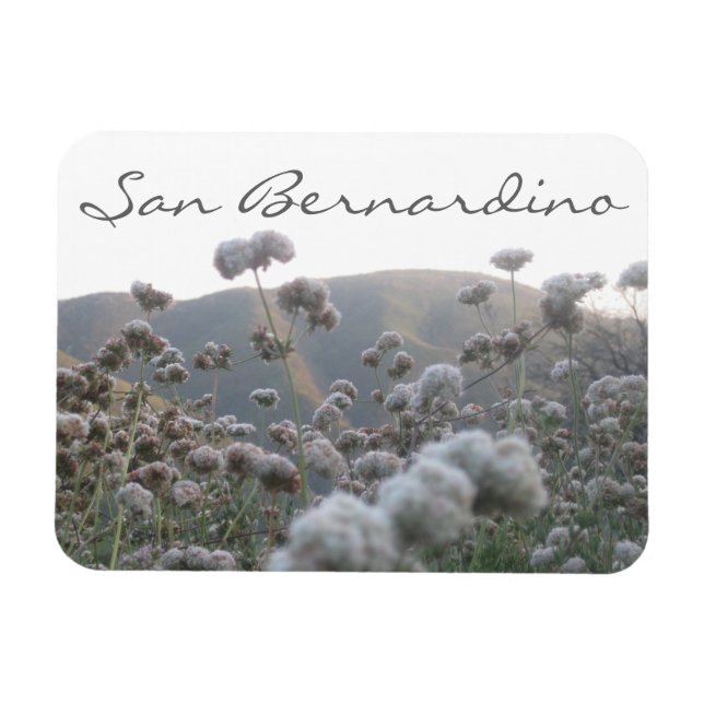 San Bernardino Magnet (Horisontell)