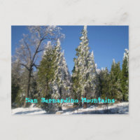 San Bernardino Mountains
