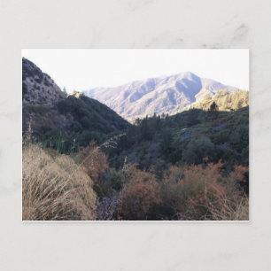 San Bernardino Mountains Vykort