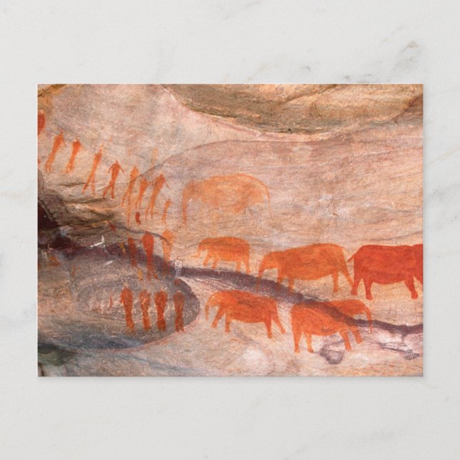 San, Bushman Sten Art, Cederberg Wilderness Vykort (Framsida)