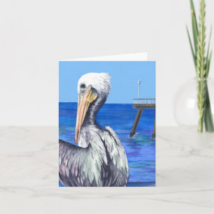 San Clemente pelikan Kort