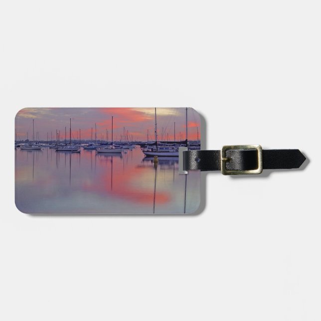 San Diego Bay Seen från flygplatsen Bagagebricka (Horisontell Framsida)