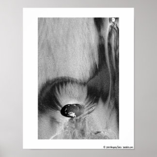 San Diego Beach Poster nr 2 11x14