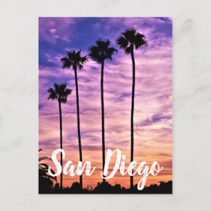 San Diego Handflatan Träd Sunset Helg Vykort