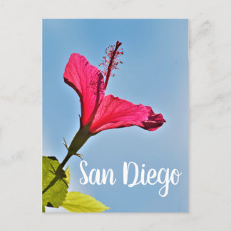 San Diego Hibiscus Helg Vykort
