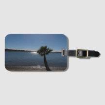San Diego Palm Träd Bagage Tag