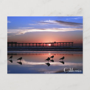 San Diego Pier vid Sunset Vykort