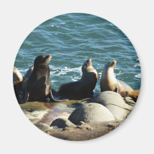 San Diego Sjölejon Magnet