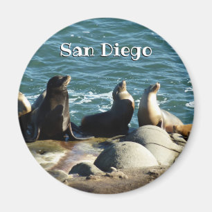 San Diego Sjölejon Magnet