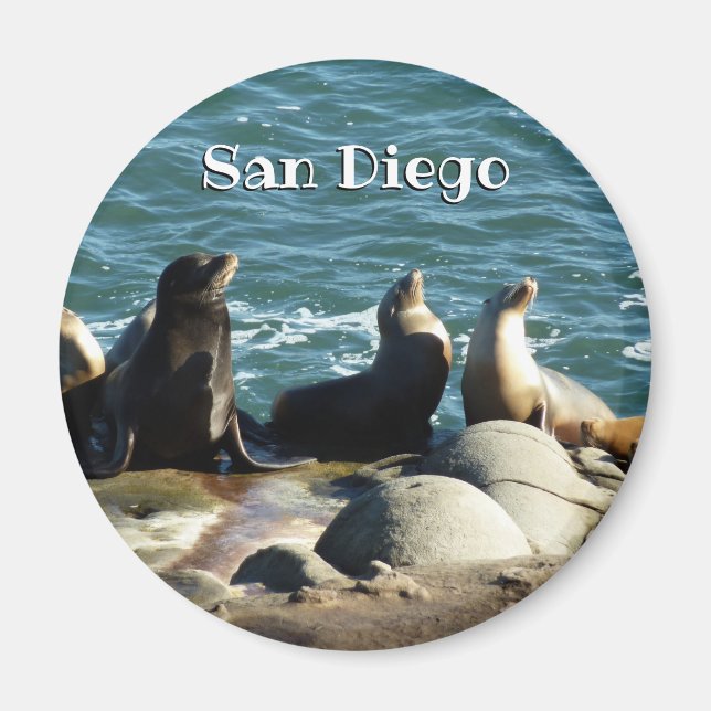 San Diego Sjölejon Magnet (Framsidan)