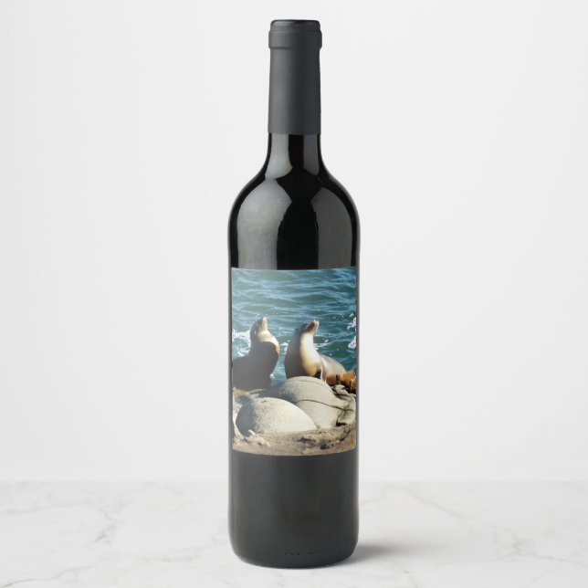 San Diego Sjölejon Vinflaska Etikett (Framsida)