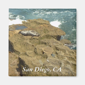San Diego Sunbad Seal Magnet