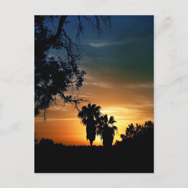 San Diego Sunset Vykort (Framsida)