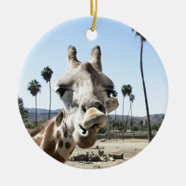 San Diego zoo Julgransprydnad Keramik (Framsidan)