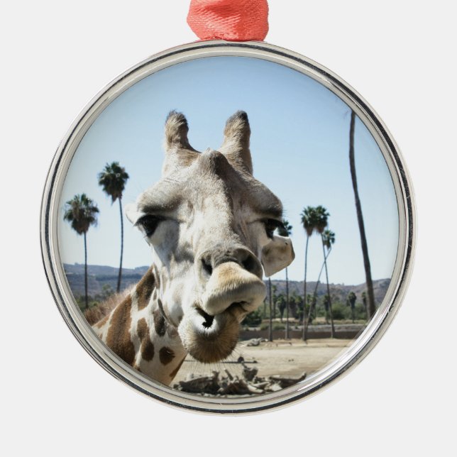 San Diego zoo Julgransprydnad Metall (Framsidan)