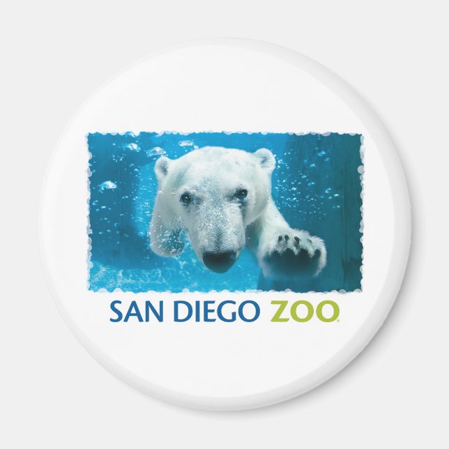 San Diego Zoo Polar Bear Magnet (Framsidan)