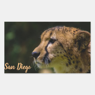 San Diego zoo Rektangulärt Klistermärke