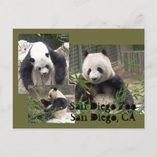 San Diego Zoo vycard Vykort