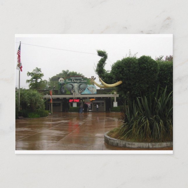 San Diego Zoo Vykort (Framsida)