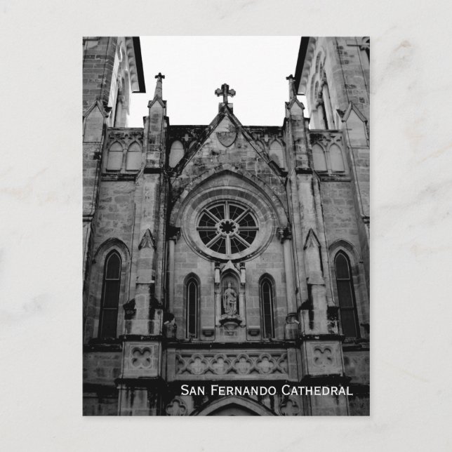 San Fernando Cathedral Postcard Photo Vykort (Framsida)