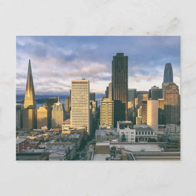 San Francisco Aerial View Vykort (Framsida)