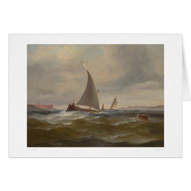 San Francisco Bay Felluca (1314) Hälsningskort (Framsidan Horizontal)