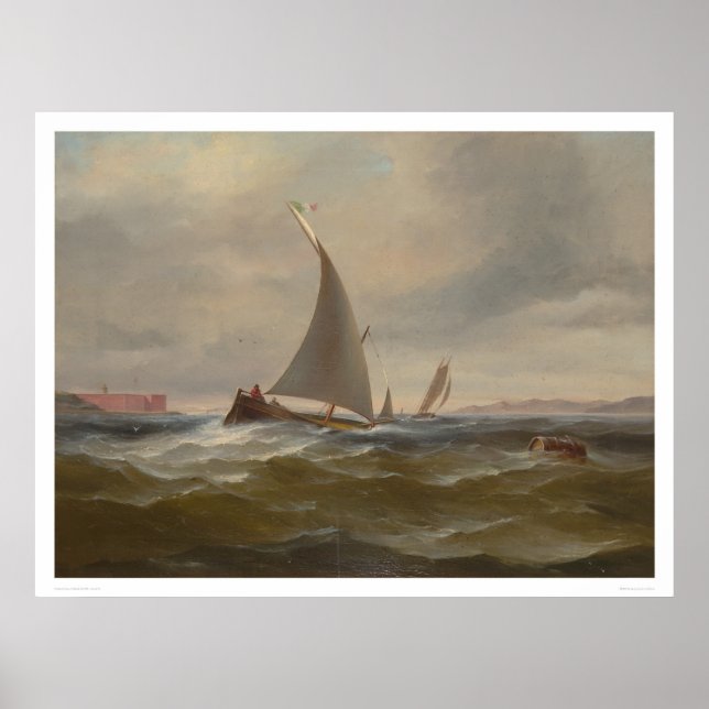 San Francisco Bay Felluca (1314) Poster (Framsidan)