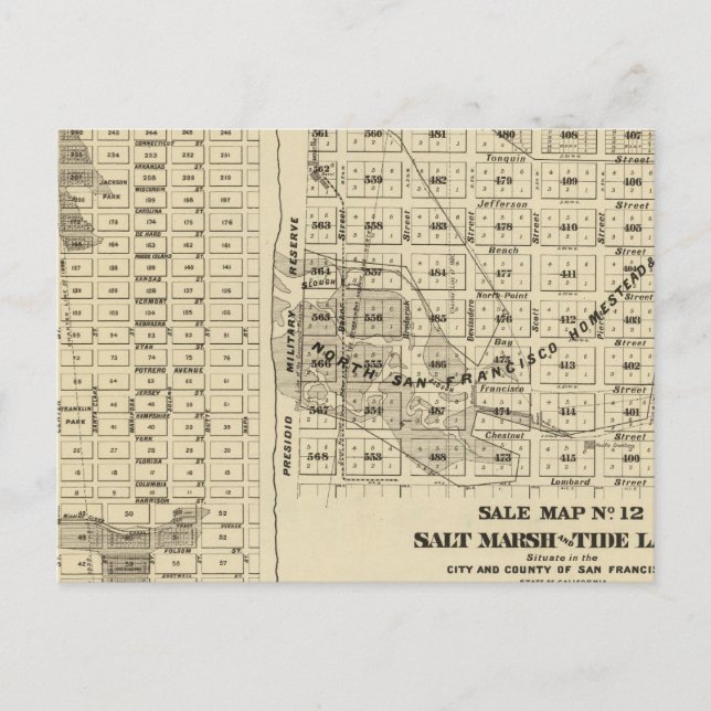 San Francisco Bay salt Marsh 2 Vykort (Framsida)