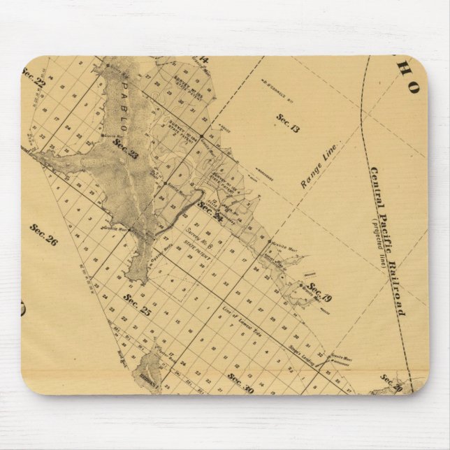 San Francisco Bay Salt Marsh Musmatta (Framsidan)