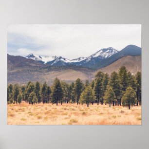 San Francisco-bergen Poster
