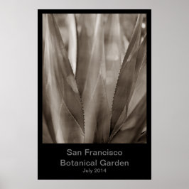 San Francisco Botanical Garden #1 Poster