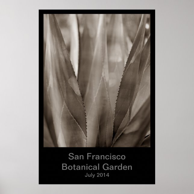San Francisco Botanical Garden #1 Poster (Framsidan)