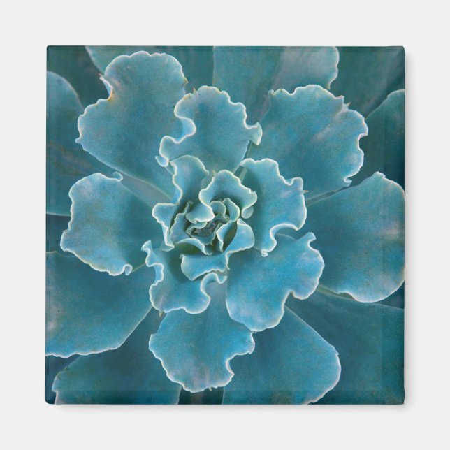 San Francisco California Golden Grind Park och Magnet (Framsidan)