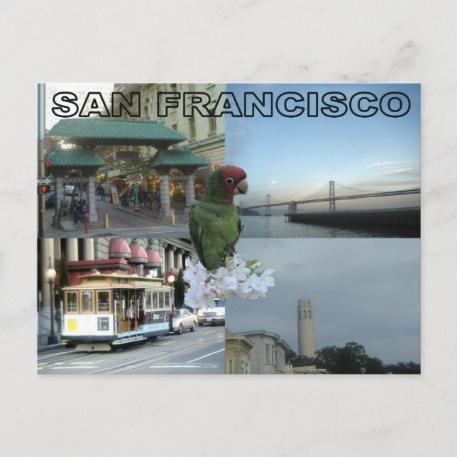 San Francisco collage Vykort (Framsida)