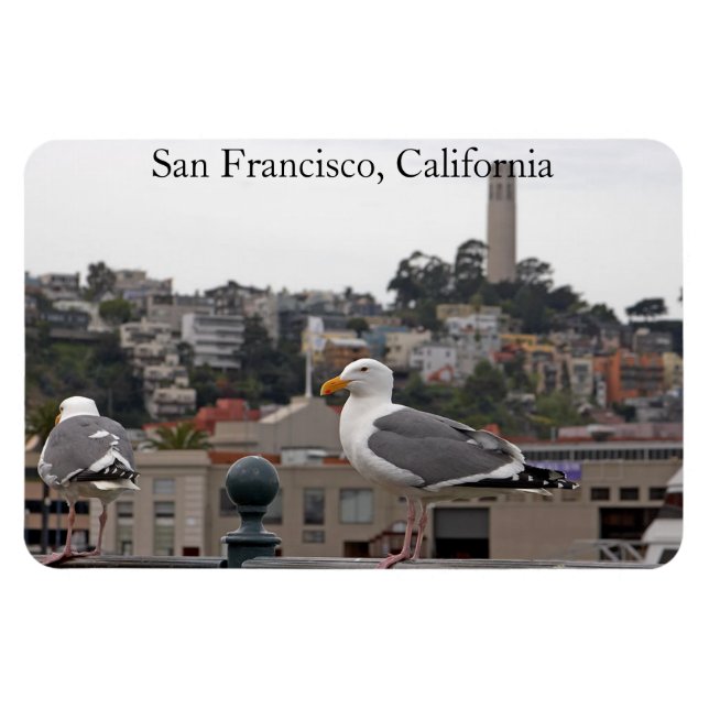 San Francisco Fiskmås Premium Flexi Magnet (Horisontell)