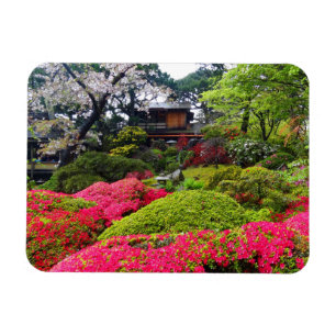 San Francisco Japanska Tea Garden #12 Magnet