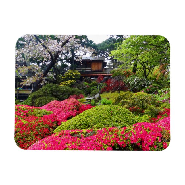 San Francisco Japanska Tea Garden #12 Magnet (Horisontell)